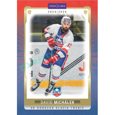 2024/25 Goal Cards Maxa liga 1. série #TRE-21 David Michálek Parallel 1of40
