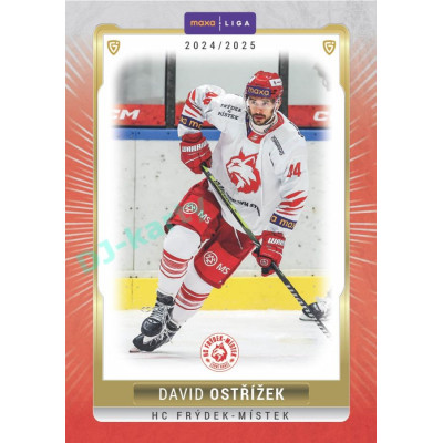 2024/25 Goal Cards Maxa liga 1. série #FMI-19 David Ostřížek Parallel 1of40