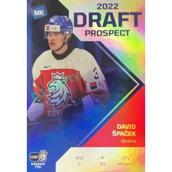 2021/22 MK reprezentace #DP-7 David Špaček Draft Prospects 1 of 100