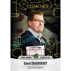 2022/23 Goal Cards Chance Liga 1. série #22 David Švagrovský Coach´s