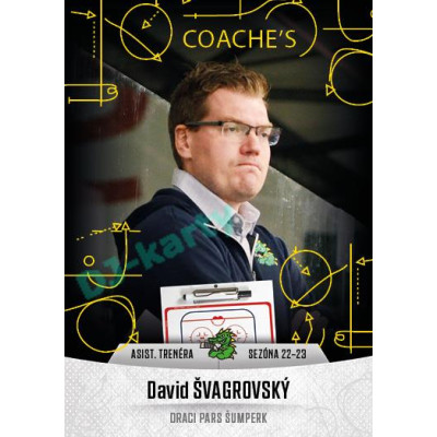 2022/23 Goal Cards Chance Liga 1. série #22 David Švagrovský Coach´s