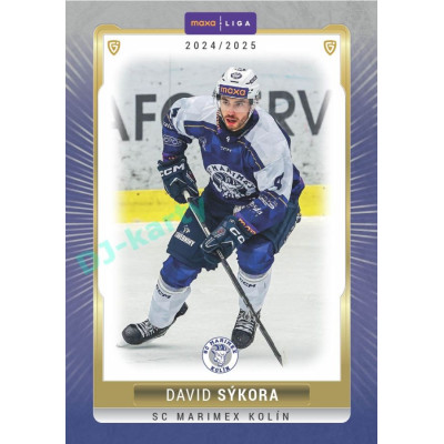 2024/25 Goal Cards Maxa liga 1. série #KOL-03 David Sýkora Parallel 1of40