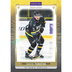 2024/25 Goal Cards Maxa liga 1. série #SOK-04 David Tureček Parallel 1of40