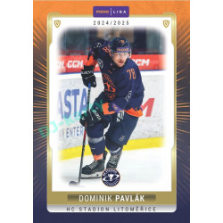 2024/25 Goal Cards Maxa liga 1. série #LIT-05 Dominik Pavlák Parallel 1of15