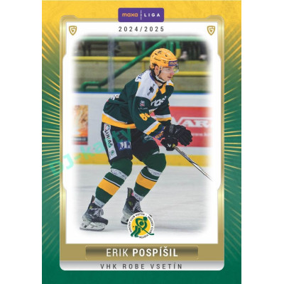 2024/25 Goal Cards Maxa liga 1. série #VSE-24 Erik Pospíšil Parallel 1of40