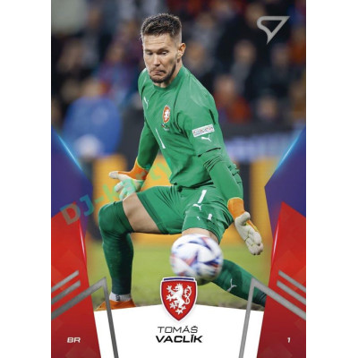 2024 Sportzoo HRDÍ LVI #06 Tomáš Vaclík