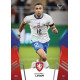2024 Sportzoo HRDÍ LVI #21 Ondřej Lingr