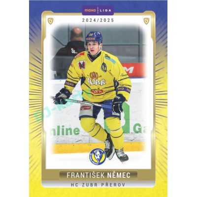 2024/25 Goal Cards Maxa liga 1. série #PRE-07 František Němec Parallel 1of40