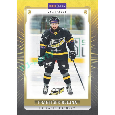2024/25 Goal Cards Maxa liga 1. série #SOK-07 František Klejna Parallel 1of40