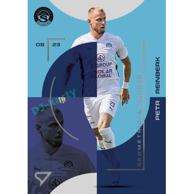 2023/24 Sportzoo Fortuna Liga 2. série #GP-07 Petr Reinberk Geometry Passes