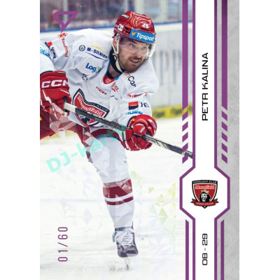 2024/25 Sportzoo ELH 1. serie #132 Petr Kalina Purple Iceberg xx/60