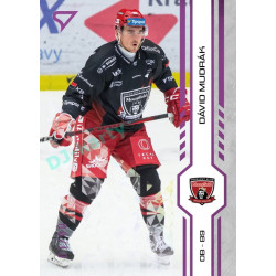2024/25 Sportzoo ELH 1. serie #134 Dávid Mudrák Purple Iceberg xx/60
