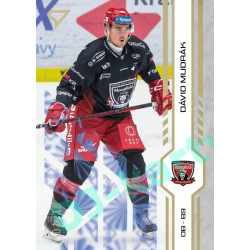 2024/25 Sportzoo ELH 1. serie #134 Dávid Mudrák Golden Glow xx/10
