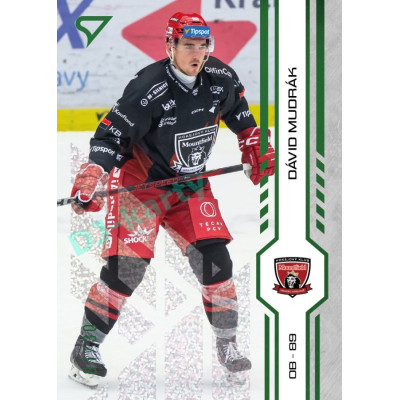 2024/25 Sportzoo ELH 1. serie #134 Dávid Mudrák Green Glitter xx/30