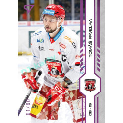 2024/25 Sportzoo ELH 1. serie #135 Tomáš Pavelka Purple Iceberg xx/60