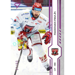 2024/25 Sportzoo ELH 1. serie #141 Radovan Pavlík Purple Iceberg xx/60