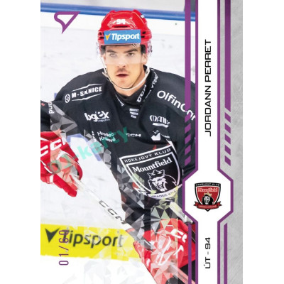 2024/25 Sportzoo ELH 1. serie #142 Jordann Perret Purple Iceberg xx/60