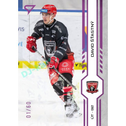 2024/25 Sportzoo ELH 1. serie #143 David Šťastný Purple Iceberg xx/60