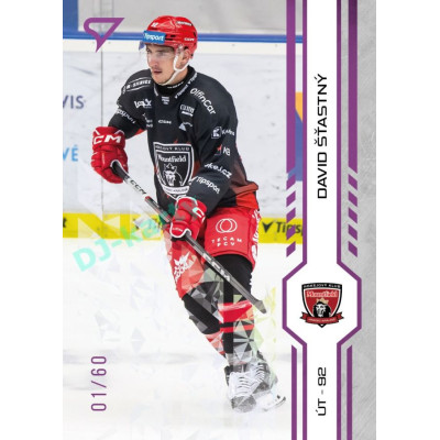2024/25 Sportzoo ELH 1. serie #143 David Šťastný Purple Iceberg xx/60