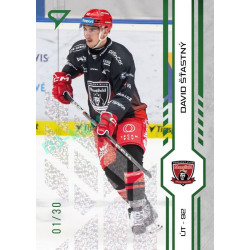 2024/25 Sportzoo ELH 1. serie #143 David Šťastný Green Glitter xx/30