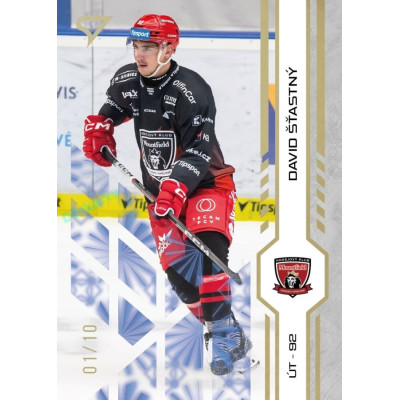 2024/25 Sportzoo ELH 1. serie #143 David Šťastný Golden Glow xx/10