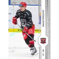 2024/25 Sportzoo ELH 1. serie #143 David Šťastný