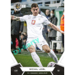 2021/22 Sportzoo Fortuna Liga 2. série #248 Michal Leibl