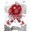 Homegrown Ice Stars