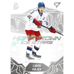 2025 Sportzoo Hokejové ČESKO #HS-04 Libor Hájek Homegrown Ice Stars