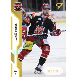 2022/23 Sportzoo ELH 1. série #081 Lukáš Cingel Gold xx/19