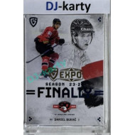 2024 Goal Cards Finally #F-ZN1 Daniel Bukač Expo 1of10