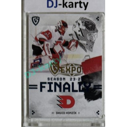 2024 Goal Cards Finally #F-PA1 David Honzík Expo 1of10