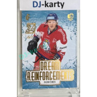 2023/24 LC Expectations Road to Prague #DR-21 Radim Šimek Dream Reinforcements Prague CardShow Gold 1of1