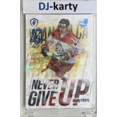 2023/24 LC Expectations Road to Prague #NGU-08 Matěj Přibyl Never Give Up Prague CardShow Blue 1of1