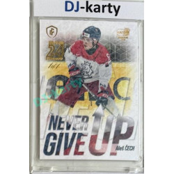 2023/24 LC Expectations Road to Prague #NGU-04 Aleš Čech Never Give Up Prague CardShow Gold 1of1