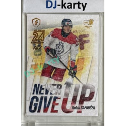 2023/24 LC Expectations Road to Prague #NGU-16 Robin Sapoušek Never Give Up Prague CardShow Gold 1of1