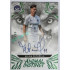 2024/25 Sportzoo Chance Liga 1. série #AIS-MP Milan Petržela Animal Instinct Green Auto 21/60