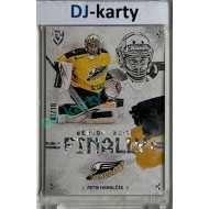 23/24 Goal Cards Finally Season #F-SO1 Petr Hamalčík Parallel xx/10