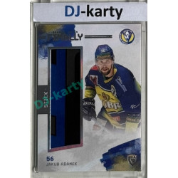 23/24 Goal Cards Finally Season #FST-24 Jakub Adámek Stick 08/10
