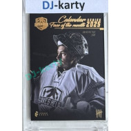 2025 LC Saves Help Calendar Series #FOM-09 David Rittich Face of the month