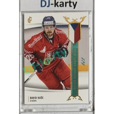2024 LC Golden Prague Belongs to us #EHB-16 David Kaše Baijer Hockey Games 2024 Turquoise 1of1