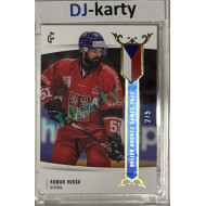 2024 LC Golden Prague Belongs to us #EHB-13 Roman Horák Baijer Hockey Games 2024 Blue 2/5
