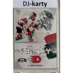 23/24 Goal Cards Finally Season #F-PA1 David Honzík Expo Parallel perleť 1of2