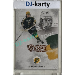 23/24 Goal Cards Finally Season #F-VS1 Matyáš Dědek Expo Gold 1of5