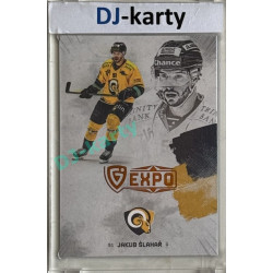 23/24 Goal Cards Finally Season #F-ZL5 Jakub Šlahař Expo Gold 1of5