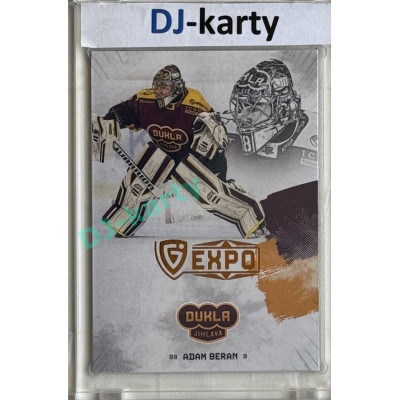 23/24 Goal Cards Finally Season #F-JI1 Adam Beran Expo Gold 1of5