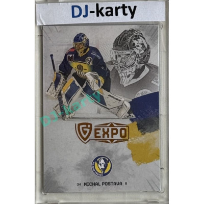 23/24 Goal Cards Finally Season #F-PR2 Michal Postava Expo Gold 1of5