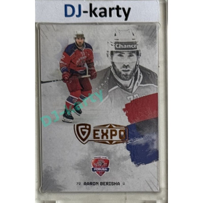 23/24 Goal Cards Finally Season #F-PO1 Aaron Berisha Expo Gold 1of5