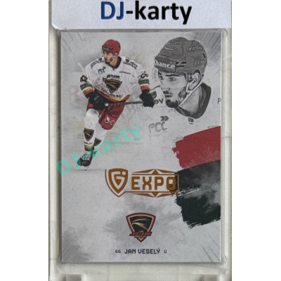 23/24 Goal Cards Finally Season #F-PV3 Jan Veselý Expo Gold 1of5