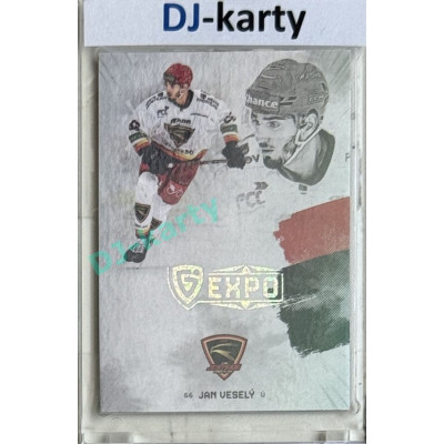 23/24 Goal Cards Finally Season #F-PV3 Jan Veselý Expo perleť 1of5